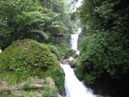 Bali-2008-0148