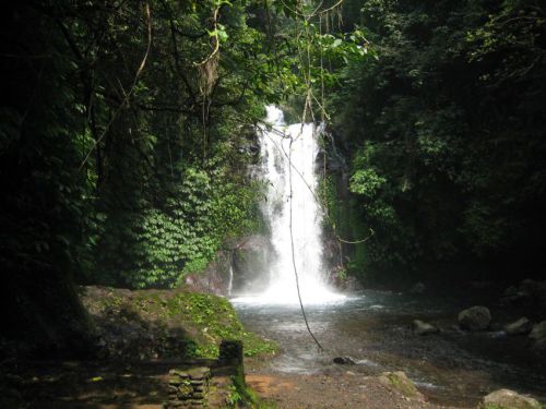 Bali-2008-0153