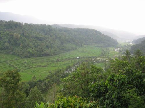 Bali-2008-0162