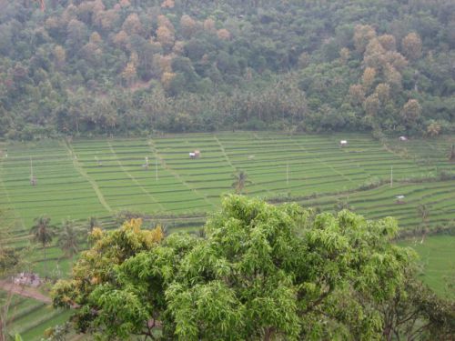 Bali-2008-0164