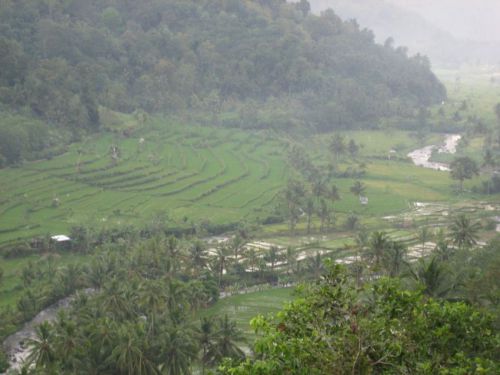 Bali-2008-0166