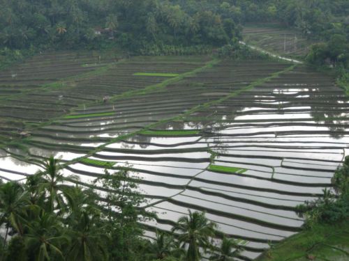 Bali-2008-0168