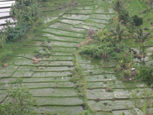 Bali-2008-0170