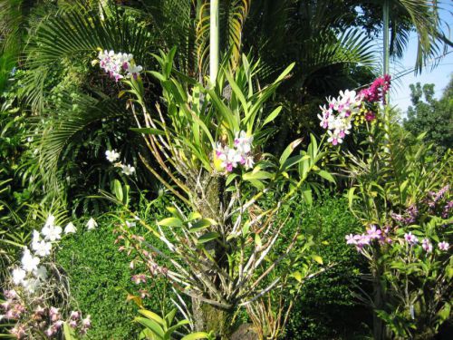 Bali-2008-0193