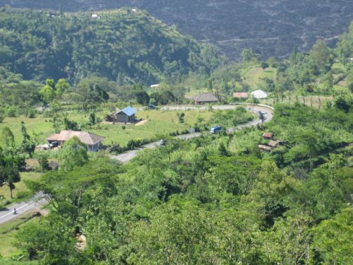 Bali-2008-0202