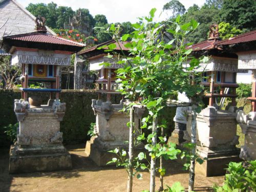 Bali-2008-0211