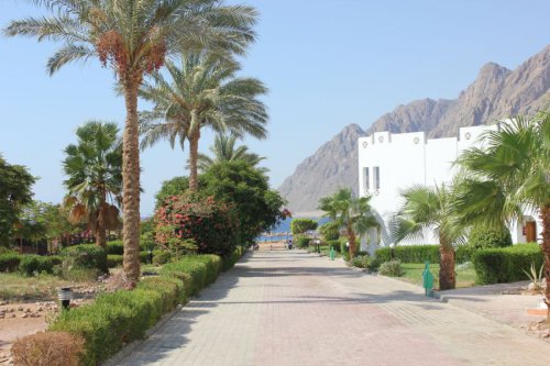 Bilder-Aegypten-081