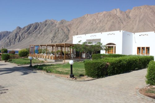 Bilder-Aegypten-082