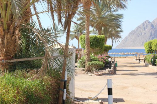 Bilder-Aegypten-083