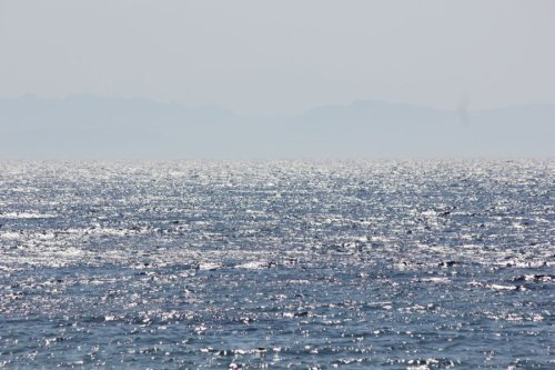 Bilder-Aegypten-087