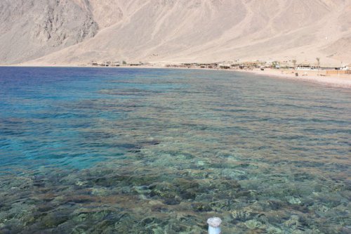 Bilder-Aegypten-090