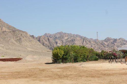 Bilder-Aegypten-096