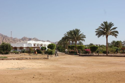 Bilder-Aegypten-098