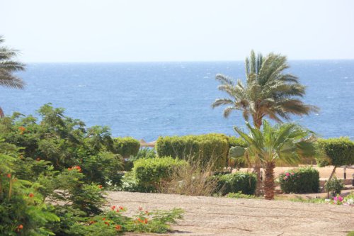 Bilder-Aegypten-103
