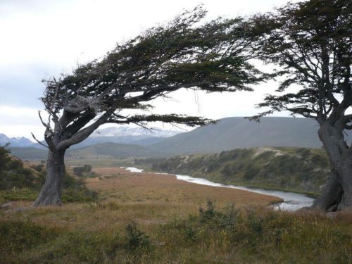 Bilder-Argentinien-200411-060