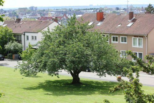 Bilder-Wiesbaden-013