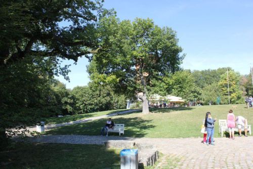 Bilder-Wiesbaden-019