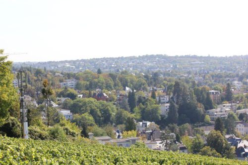 Bilder-Wiesbaden-024