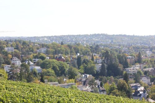 Bilder-Wiesbaden-028
