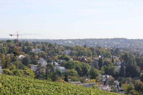 Bilder-Wiesbaden-029
