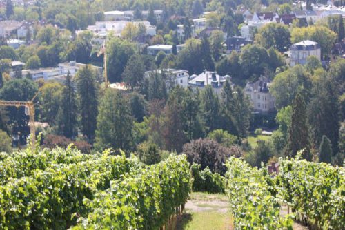 Bilder-Wiesbaden-031