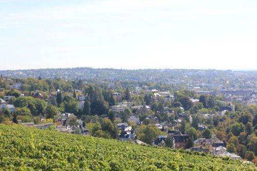 Bilder-Wiesbaden-035