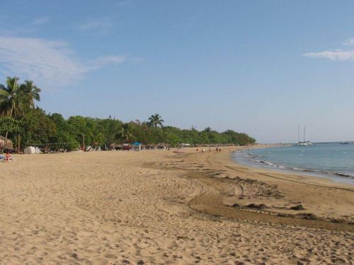 DomRep_003
