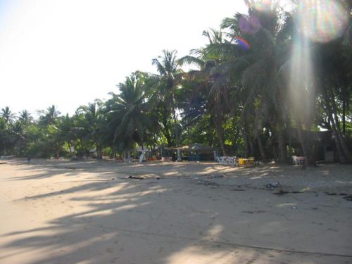 DomRep_014
