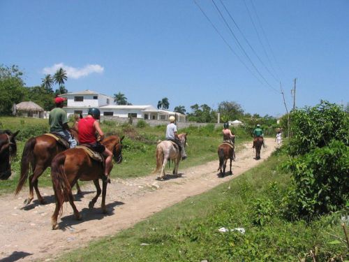 DomRep_021
