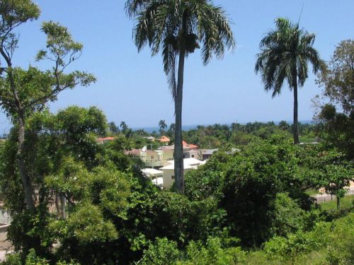 DomRep_022