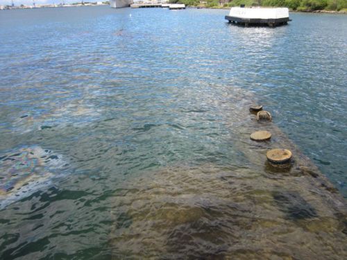 Hawaii-2011-0357