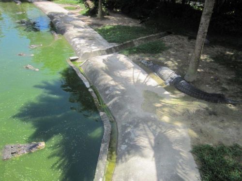 Malaysia_102