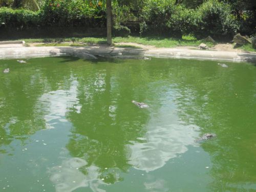 Malaysia_103