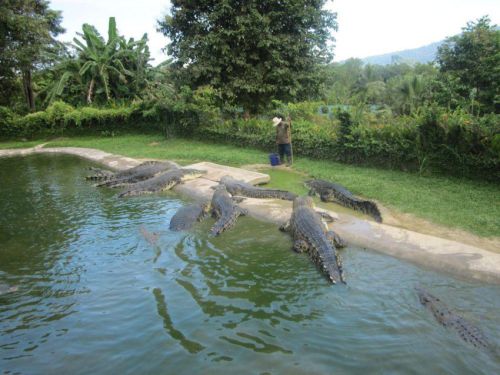Malaysia_104