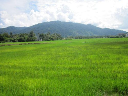 Malaysia_105