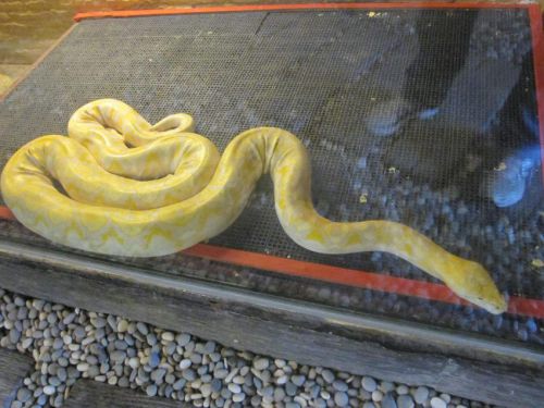 Malaysia_121