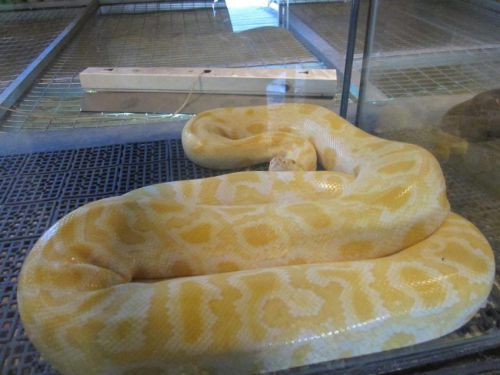 Malaysia_122