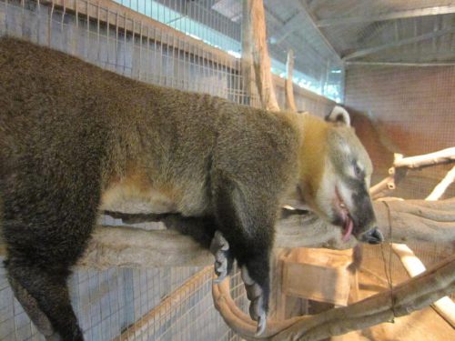 Malaysia_126