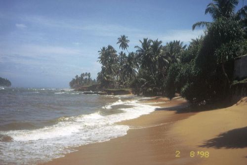 Mein-Fotoalbum-014