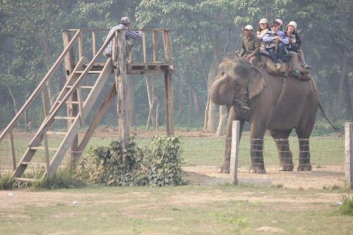 Nepal_159