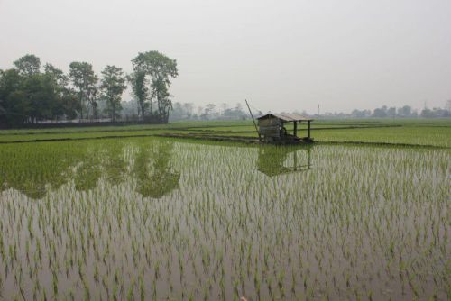 Nepal_164