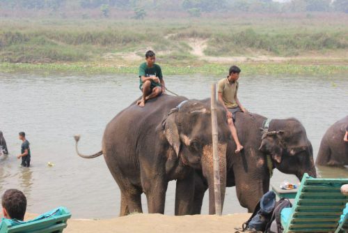 Nepal_165