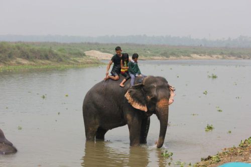 Nepal_167