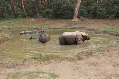 Nepal_172