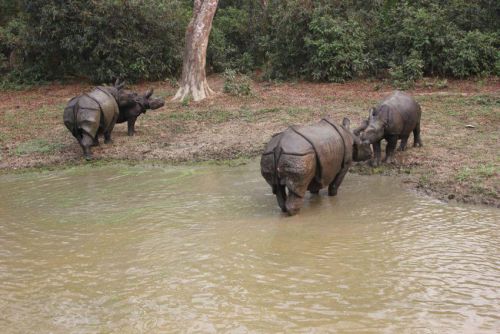 Nepal_175