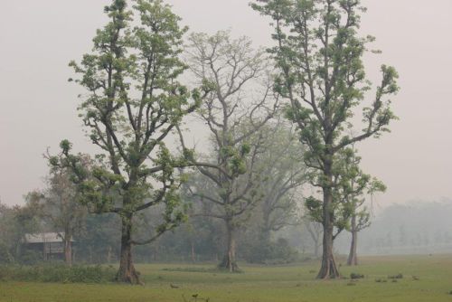 Nepal_180