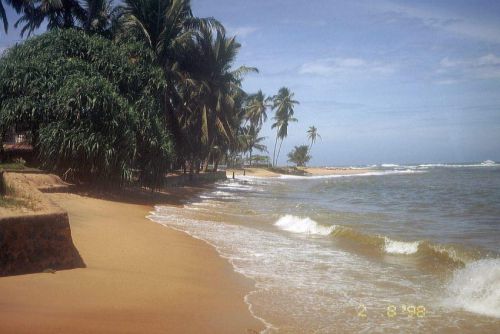 Sri Lanka_012