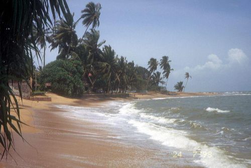 Sri Lanka_019