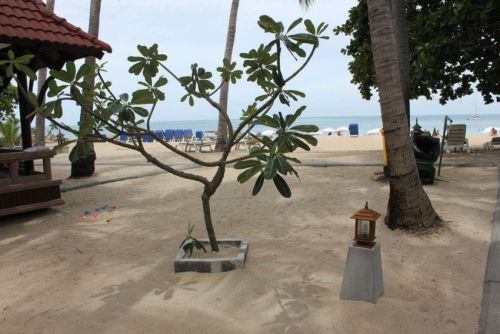Thailand13-017